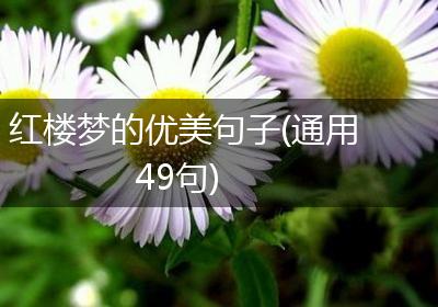 红楼梦的优美句子(通用49句)