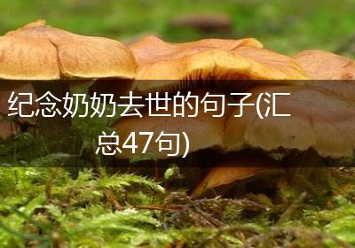 纪念奶奶去世的句子(汇总47句)