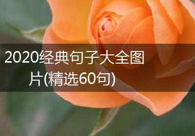 2020经典句子大全图片(精选60句)