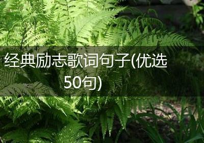 经典励志歌词句子(优选50句)