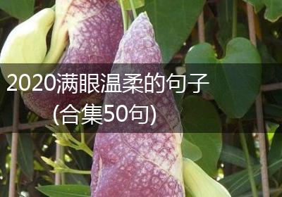 2020满眼温柔的句子(合集50句)