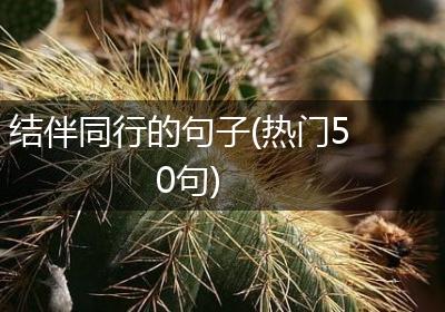 结伴同行的句子(热门50句)
