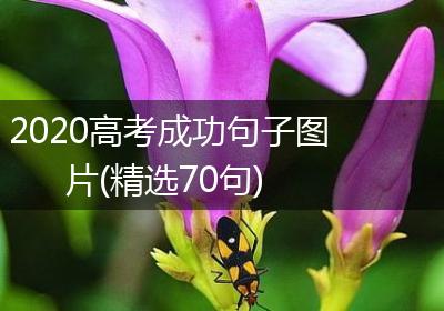 2020高考成功句子图片(精选70句)