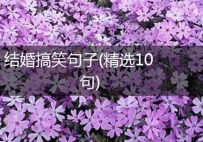 结婚搞笑句子(精选10句)
