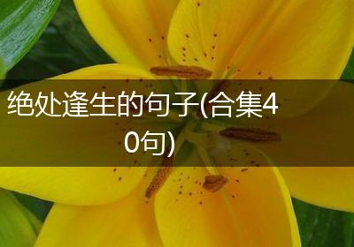 绝处逢生的句子(合集40句)
