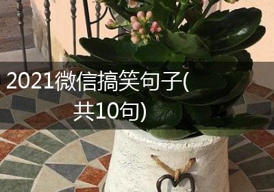2021微信搞笑句子(共10句)