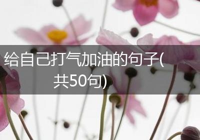 给自己打气加油的句子(共50句)