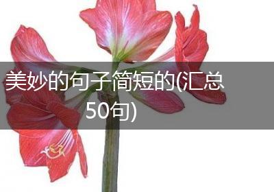 美妙的句子简短的(汇总50句)