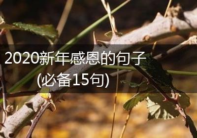 2020新年感恩的句子(必备15句)