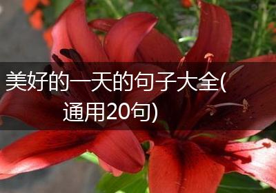 美好的一天的句子大全(通用20句)