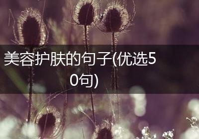 美容护肤的句子(优选50句)