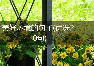 美好环境的句子(优选20句)