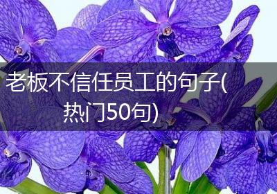 老板不信任员工的句子(热门50句)