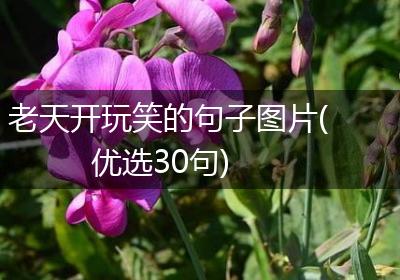 老天开玩笑的句子图片(优选30句)