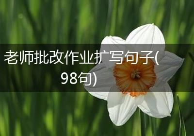 老师批改作业扩写句子(98句)