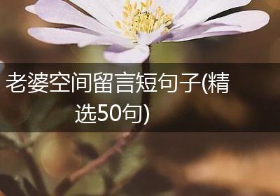 老婆空间留言短句子(精选50句)
