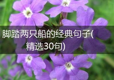 脚踏两只船的经典句子(精选30句)