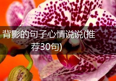 背影的句子心情说说(推荐30句)