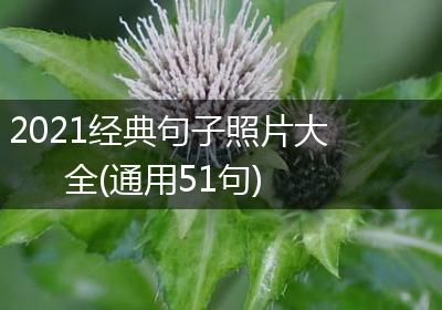 2021经典句子照片大全(通用51句)