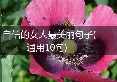 自信的女人最美丽句子(通用10句)