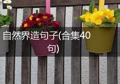 自然界造句子(合集40句)