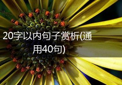 20字以内句子赏析(通用40句)