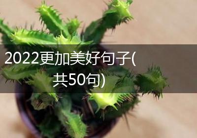 2022更加美好句子(共50句)