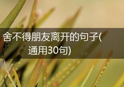 舍不得朋友离开的句子(通用30句)