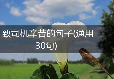致司机辛苦的句子(通用30句)