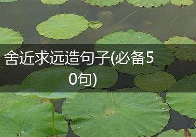 舍近求远造句子(必备50句)