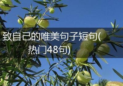 致自己的唯美句子短句(热门48句)