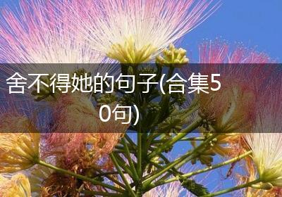 舍不得她的句子(合集50句)