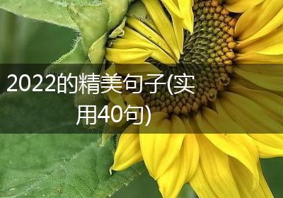 2022的精美句子(实用40句)