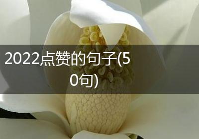 2022点赞的句子(50句)
