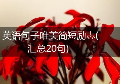 英语句子唯美简短励志(汇总20句)
