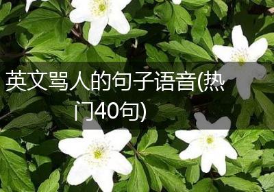 英文骂人的句子语音(热门40句)