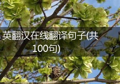 英翻汉在线翻译句子(共100句)