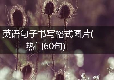 英语句子书写格式图片(热门60句)