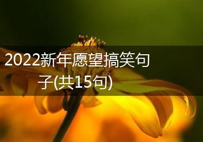 2022新年愿望搞笑句子(共15句)