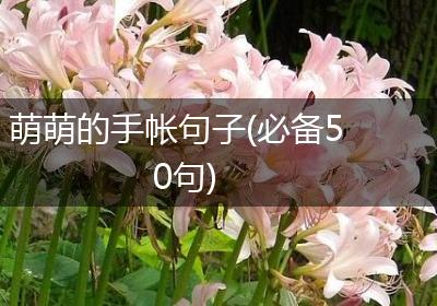 萌萌的手帐句子(必备50句)