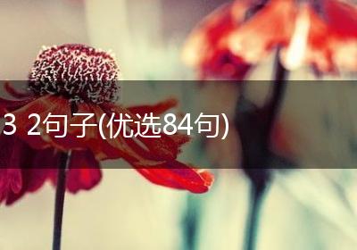3 2句子(优选84句)