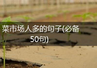 菜市场人多的句子(必备50句)