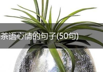 茶语心情的句子(50句)