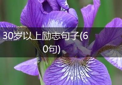 30岁以上励志句子(60句)