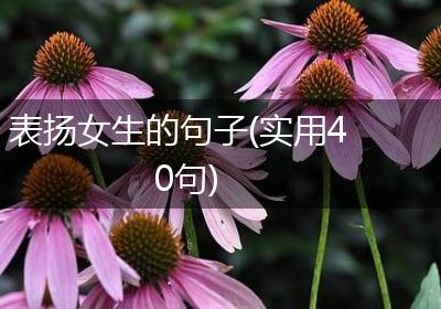 表扬女生的句子(实用40句)