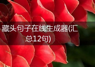 藏头句子在线生成器(汇总12句)