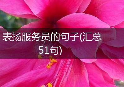 表扬服务员的句子(汇总51句)