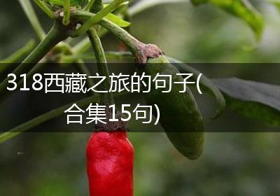 318西藏之旅的句子(合集15句)
