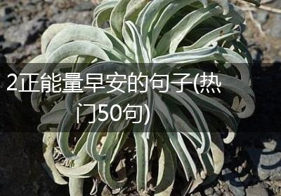 2正能量早安的句子(热门50句)