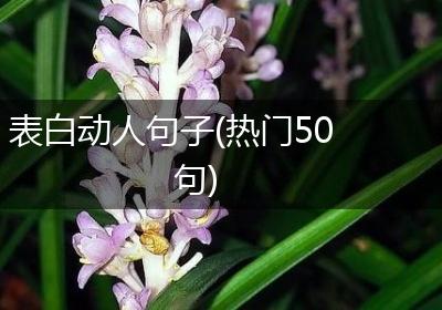 表白动人句子(热门50句)